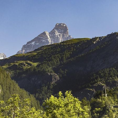 Hellochalet - Chalet Northern Lights - Family Ski Chalet With Garden Walking Distance Lift Valtournenche Exteriér fotografie